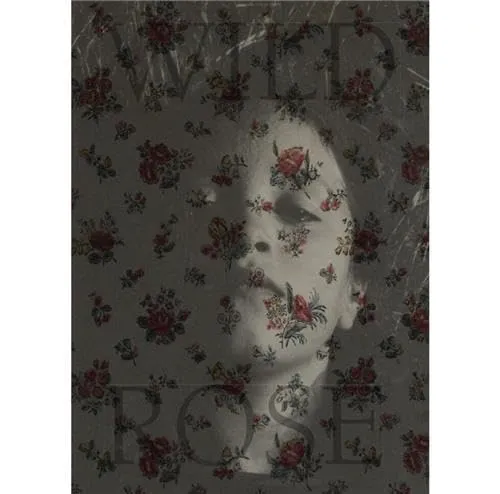 Couverture de Wild Rose