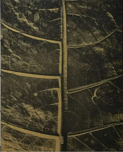 Couverture de Hoja dorada