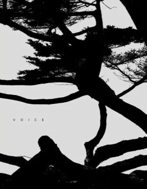 Couverture de Voice