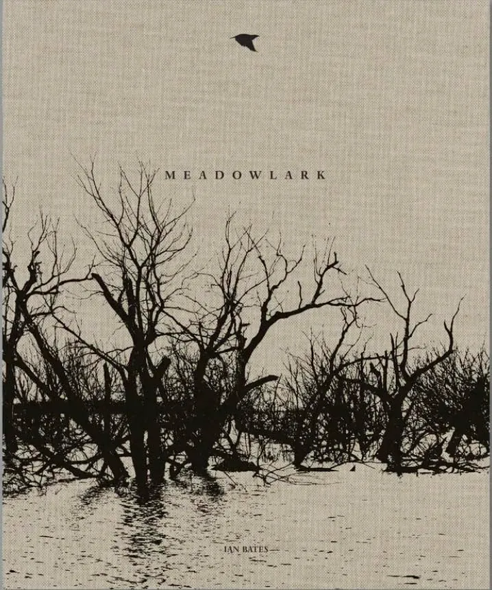 Couverture de Meadowlark