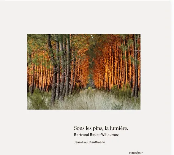 Couverture de Sous les pins, la lumière
