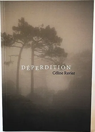 Couverture de Déperdition
