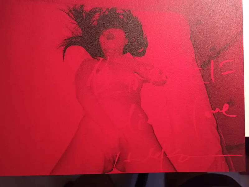 Couverture de Die of love