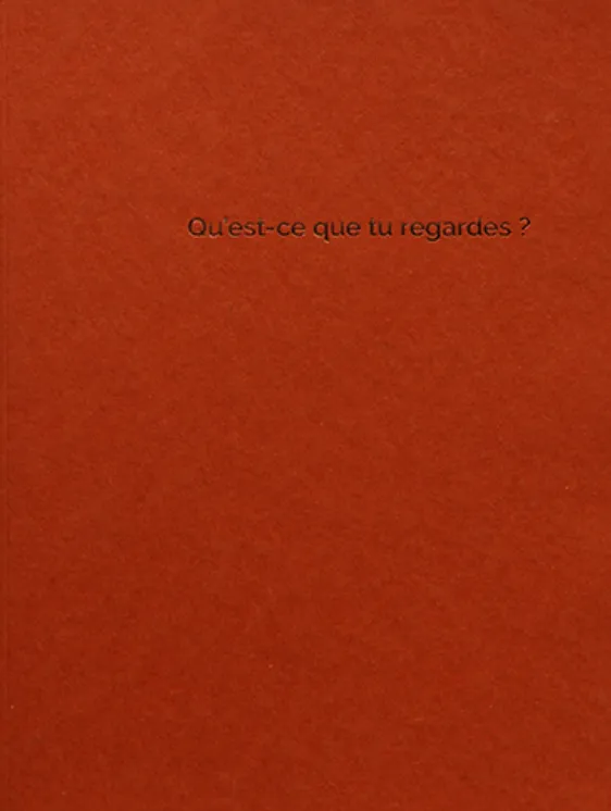 Couverture de Qu'est-ce que tu regardes ?