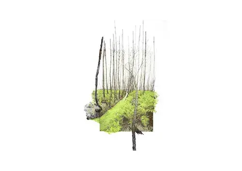« Les abords » de Dana Cojbuc à Montauban, a Galerie de l’Atelier 14 rue de la comédie Montauban, Montauban