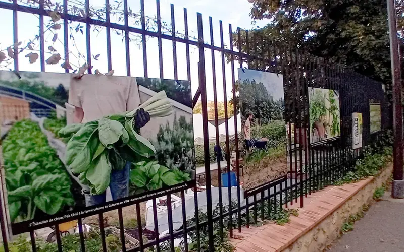 Les Parisculteurs s'exposent pour les 10 ans du Paysan urbain, Le Paysan Urbain, Paris