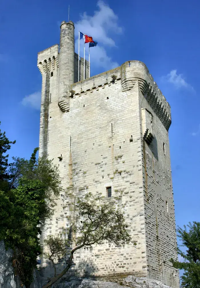 Dans l'Œil de ..., Tour Philippe-le-Bel, Villeneuve-lès-Avignon