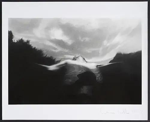S’enraciner au fil de l’eau - H2O au Musée du Car, Musée du car 07690 Vanosc, Vanosc