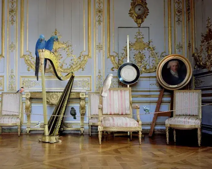 Karen Knorr habite le Château, Château dOiron, Plaine-et-Vallées