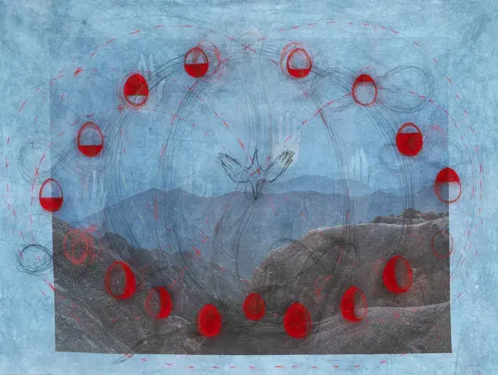 Adéla Souckova, Une série d'apocalypses partielles continues, Galerie Dix9, Paris