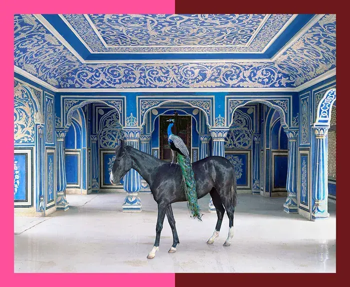 PhotoSaintGermain-Karen Knorr, Musee national Eugène-Delacroix, Paris