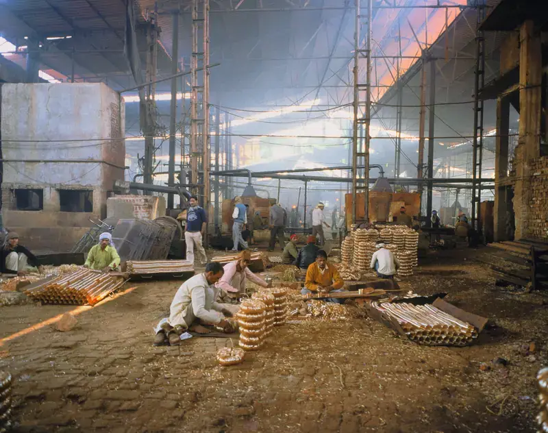 Visite contée de l’exposition, FRAC Grand Large - Hauts-de-France, Dunkerque