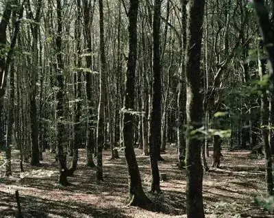 « Sur les pas de d’Arthur Batut » Nicolas Fremiot, Lumière d'Encre, Céret