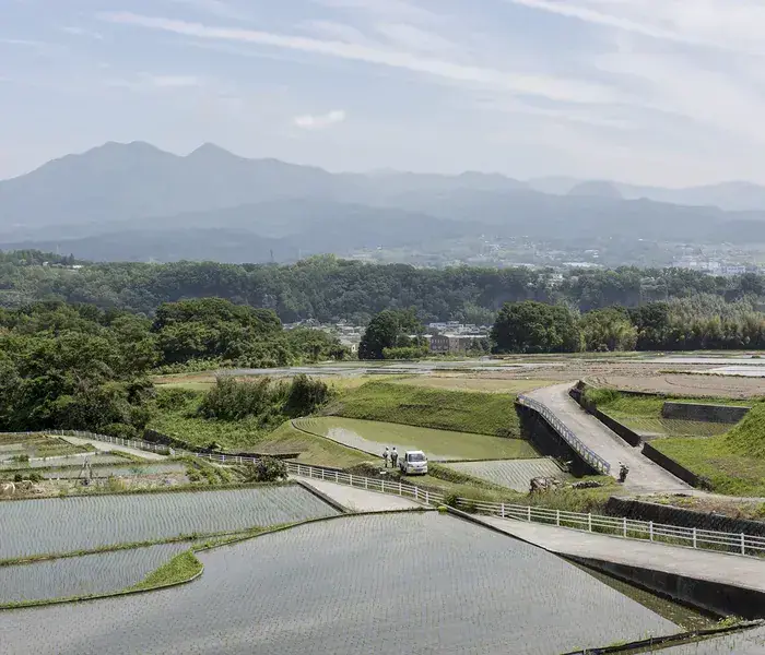 Chercher la faille (Paysages du Japon), BU Chevreul, Villeurbanne