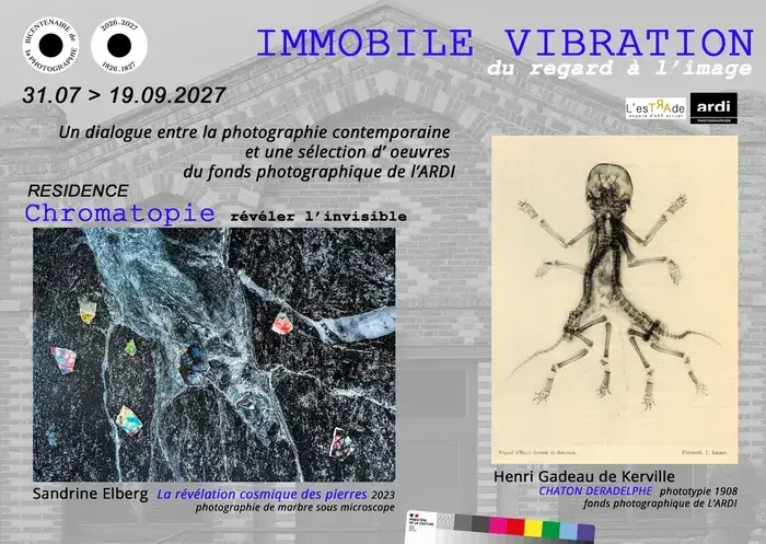 IMMOBILE VIBRATION « Du Regard à l’Image » : Fin de RESIDENCE Sandrine Elberg et L'ARDI, L'esTRAde, Athis-Val-de-Rouvre