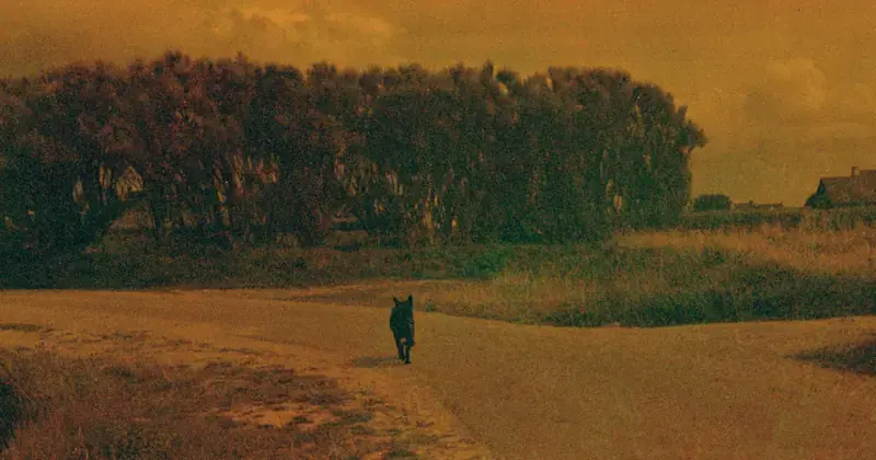 Nanténé Traoré — pays des merveilles, Maison européenne de la photographie (MEP), Paris