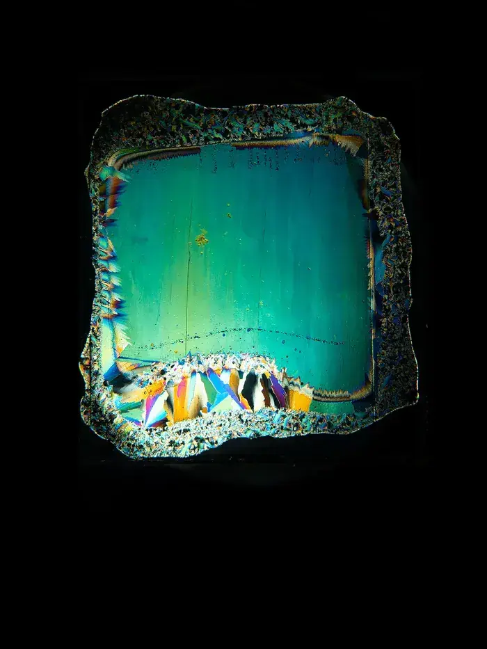 L’Âge des glaces. Regards croisés entre Aimé Civiale et six photographes contemporains, Galerie de l’Académie des beaux-arts, galerie Vivienne, 4 rue des Petits-Champs 75002 Paris, Paris