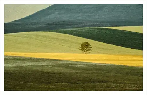 Franco Fontana : Full Color, Villa Tamaris, La Seyne-sur-Mer