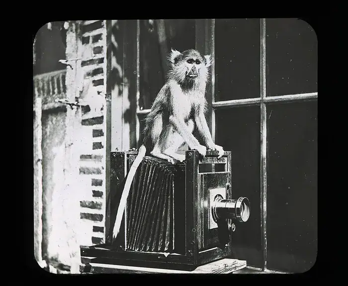 La Co-élaboration artistique des Archives : une œuvre photographique collective, participative et citoyenne, Archives départementales de Loire-Atlantique, Nantes