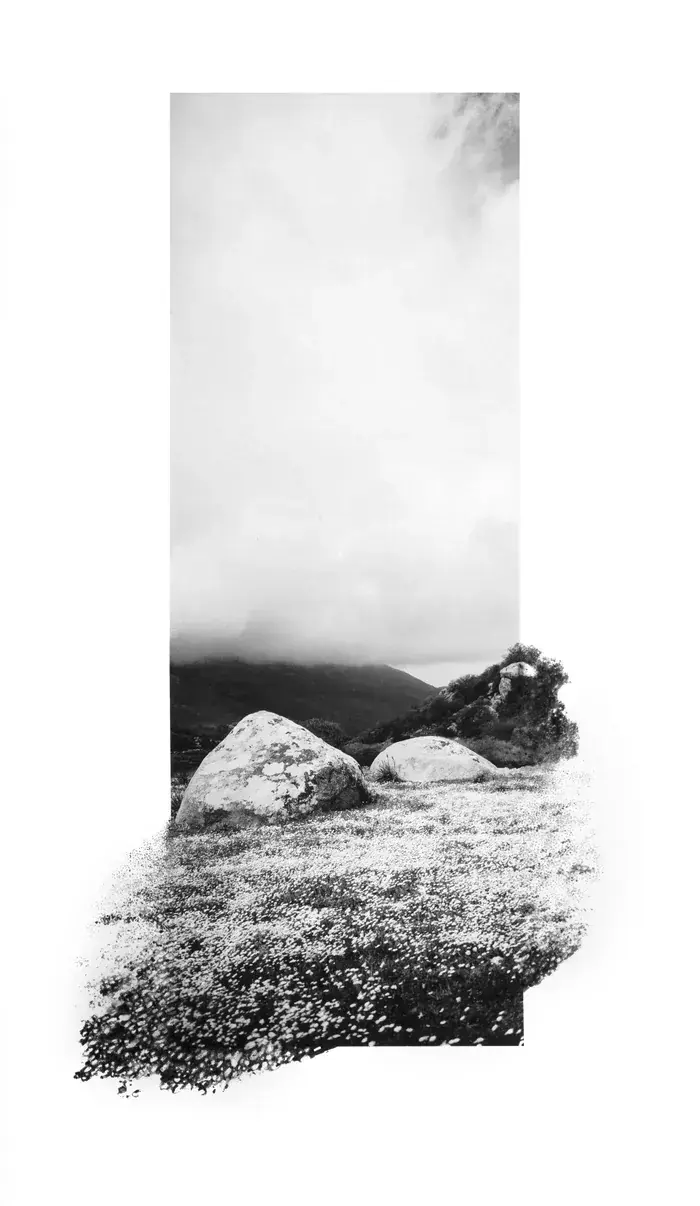 Dana Cojbuc, GALERIE PUTMAN, Paris
