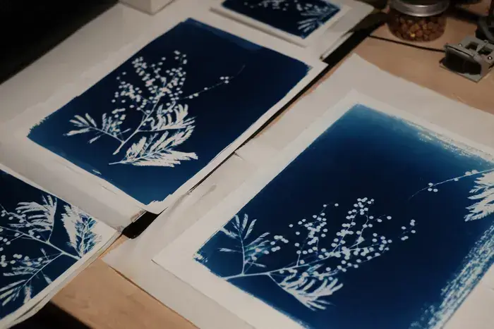 Atelier cyanotype, Ateliers Octopodes, Chambéry