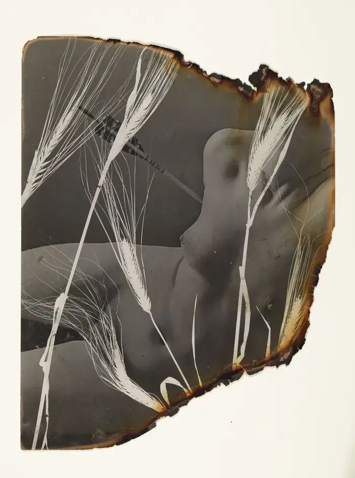 Pierre Jahan, A Retrospective, Galerie Jean-François Cazeau, Paris