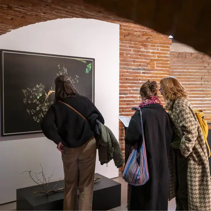 Visite guidée de l'exposition, Le Château d'Eau, Toulouse