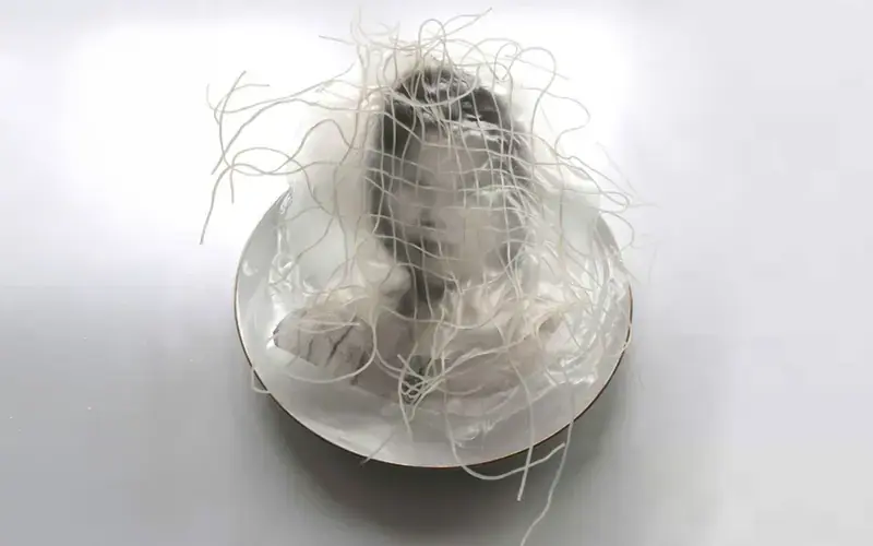 Đoàn Tụ - Mémoires Vietnamiennes, Galerie Bao, Paris