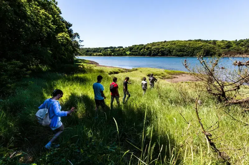 « Sporulation féerique » de Benjamin Pawlica, Maison de l'estuaire, Plourivo