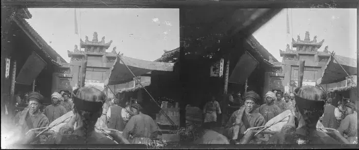 Transcontinentales : un siècle de photographies entre l'Europe et l'Asie, Musée Cernuschi, Paris