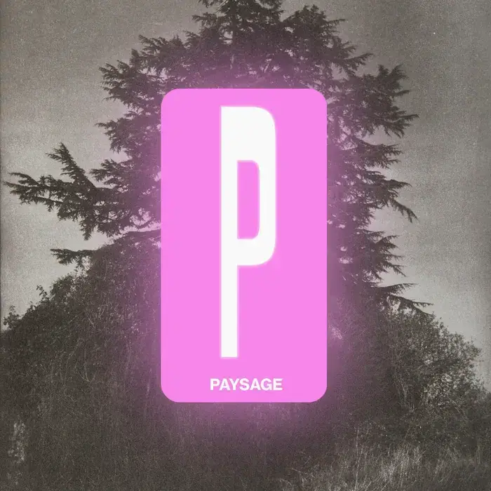 Dictionnaire (presque) complet de la photographie • P, Les Photographiques, Le Mans