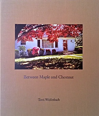 Couverture de Between Maple and Chestnut
