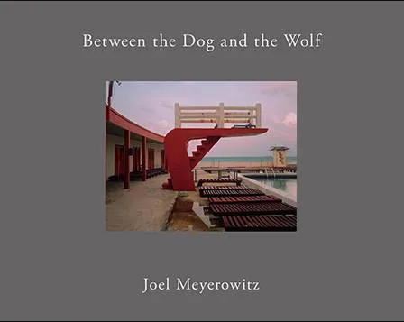 Couverture de Between the Dog and the Wolf