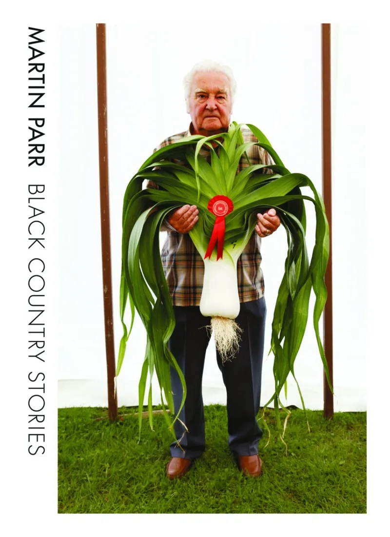 Couverture de Black Country Stories