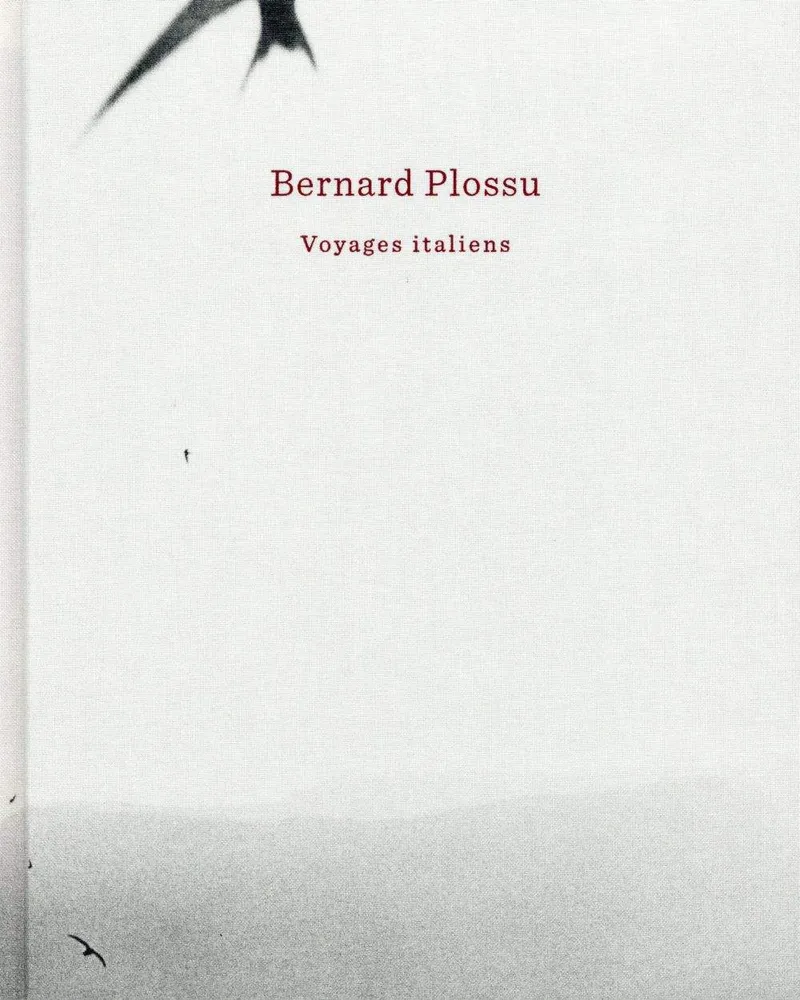 Couverture de Voyages italiens