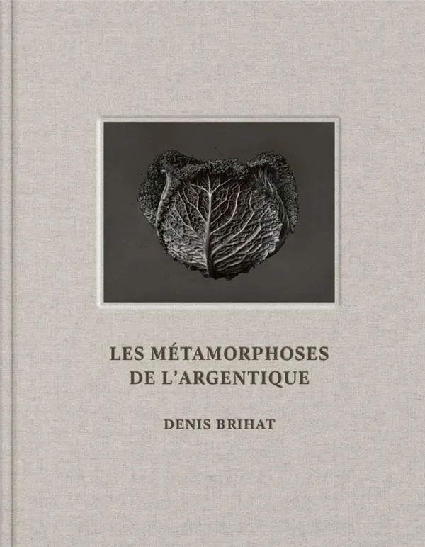 Couverture de Les métamorphoses de l'argentique
