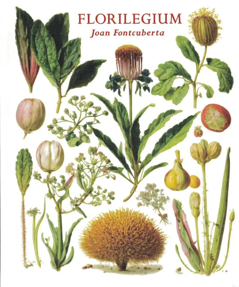 Couverture de Florilegum