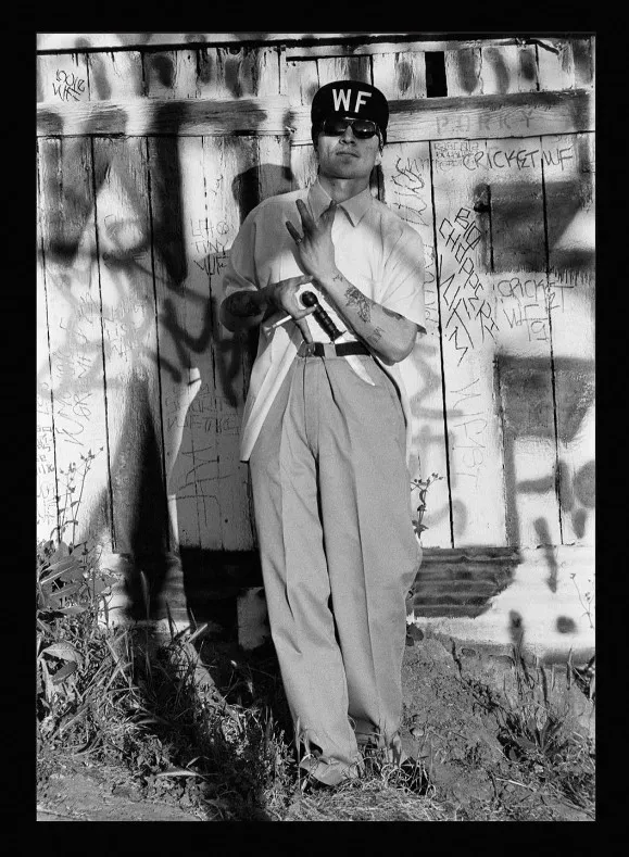Couverture de White Fence