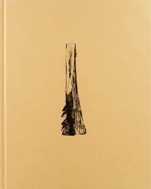 Couverture de The Unforgetting